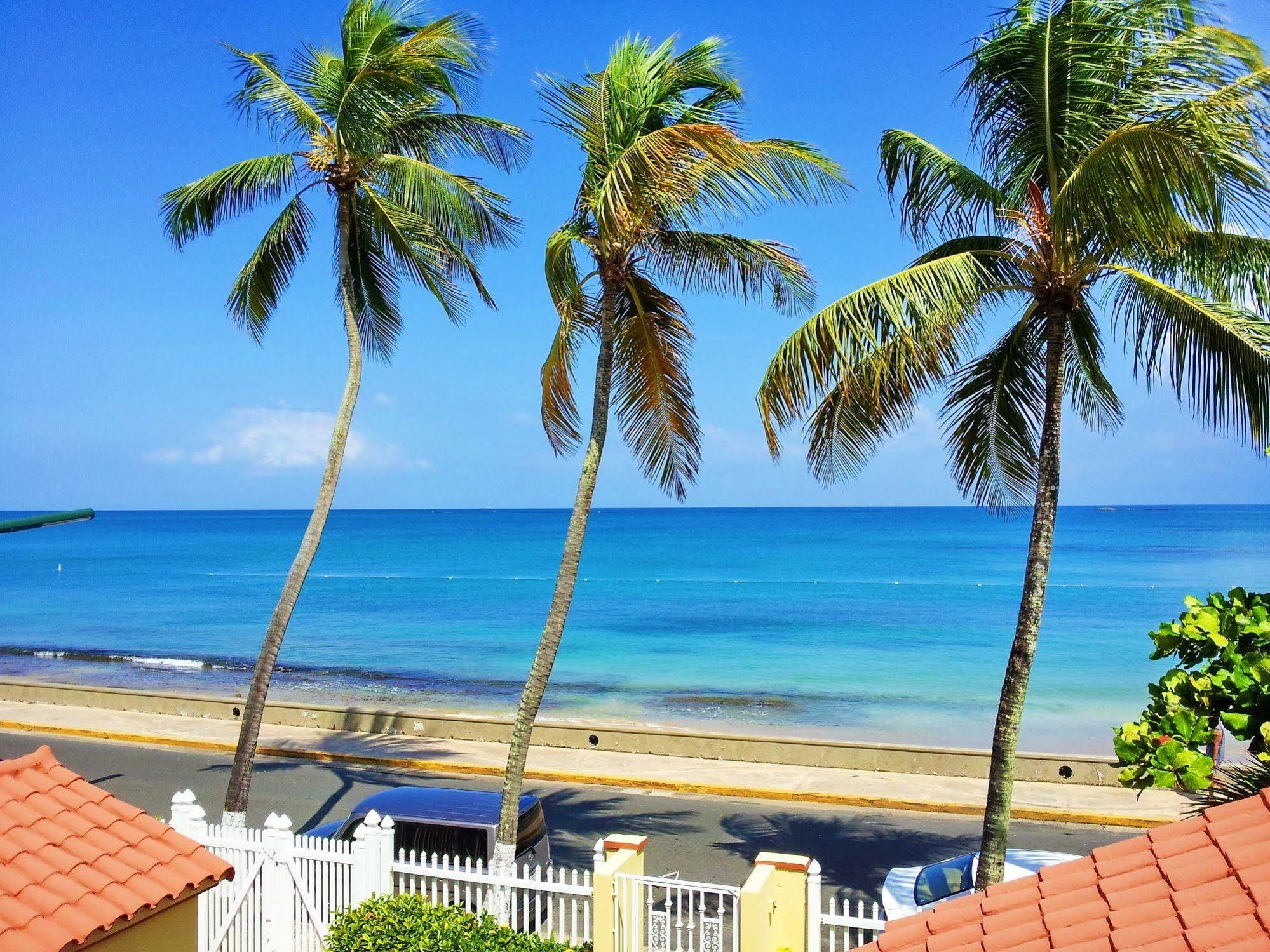 Tres Palmas Inn San Juan Ngoại thất bức ảnh